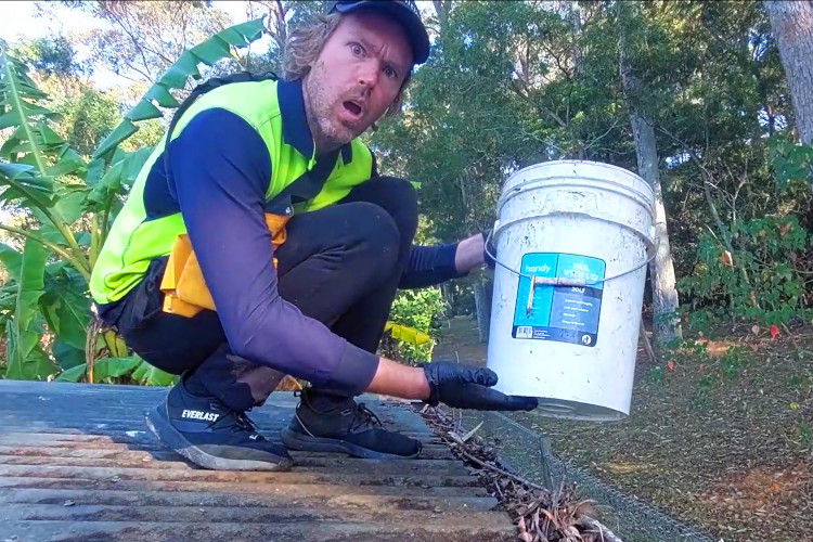 
nowra Gutter cleaning emphasizes the value of using a bucket.