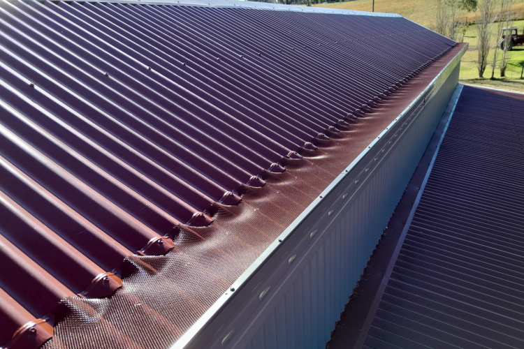 Gutter Guard Installation in Nowra